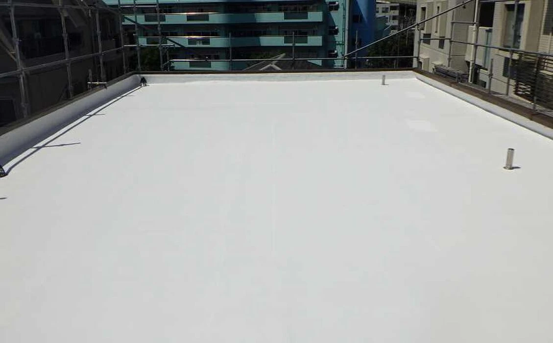 画像1439：スレート屋根補修工事